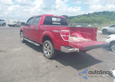 2009 Ford F-150 Fx4/King Ranch/Lariat/Platinum/Xl/Xlt from USA, damaged, VIN 1FTPW14V59FA18092
